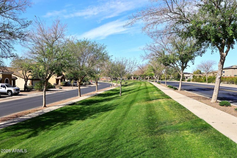 Community-Walking Path
