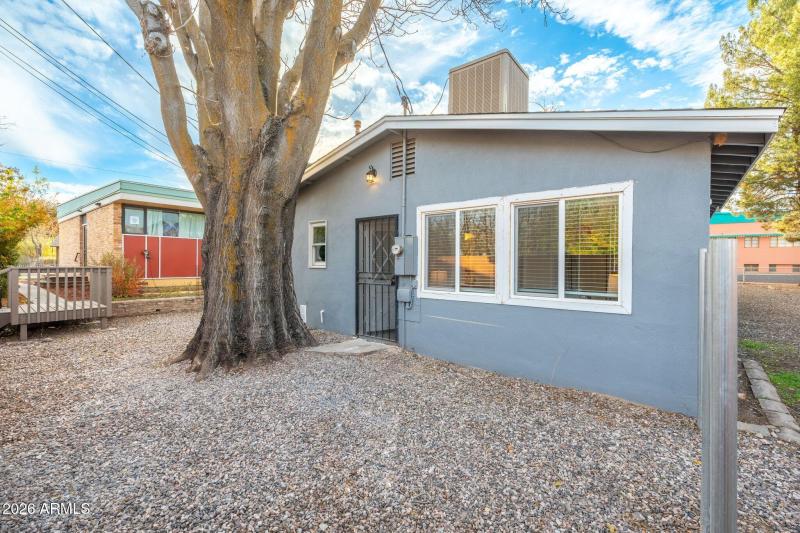 Sideyard (tree has been removed)