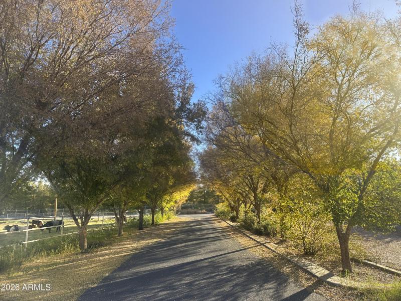 07 Signal Butte lil lane