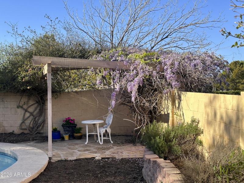 58 Signal Butte Wisteria