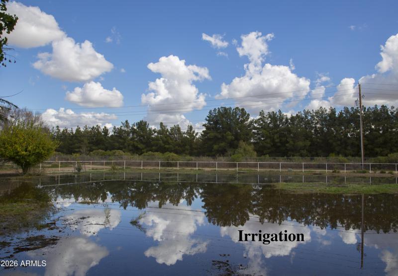 64 Signal B Irrigated