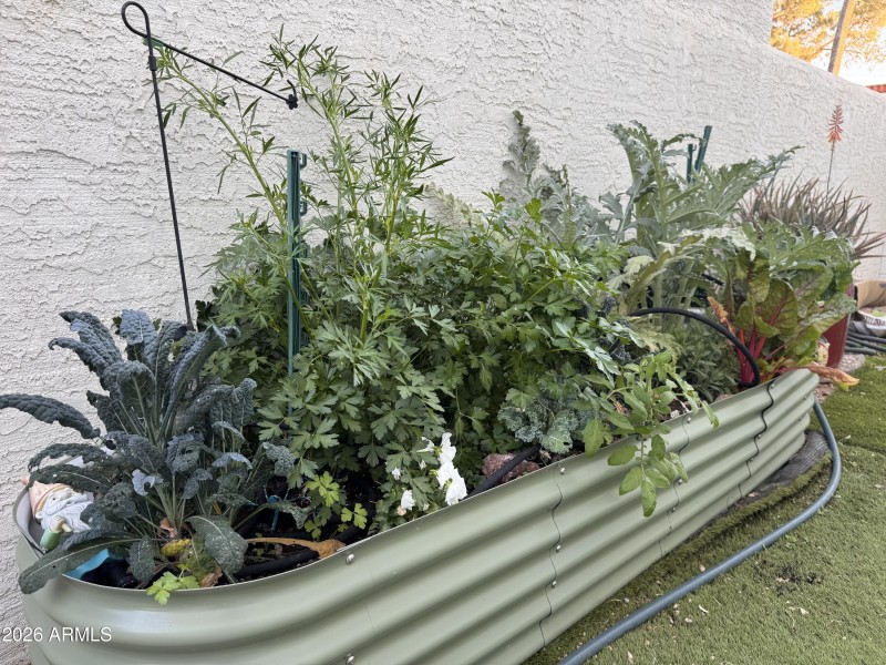 Home organic vegetable garden