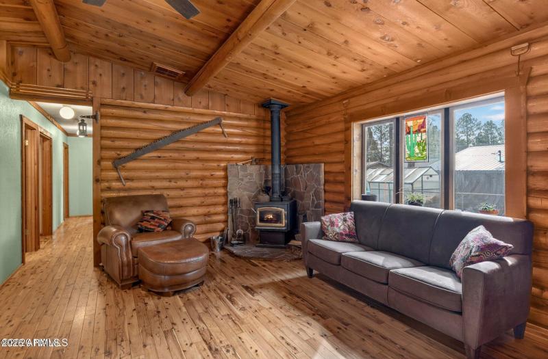 Cozy Wood Stove