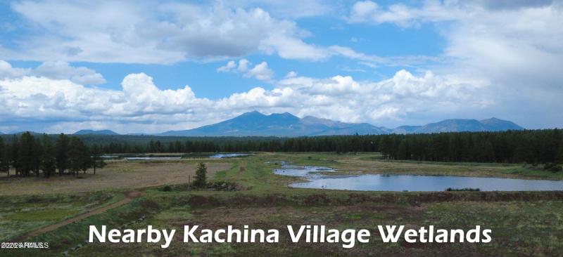 Wetlands Drone Photo