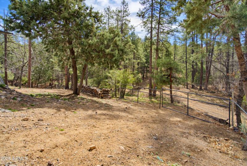 375 S Camille Lane - Photo - Exterior 41