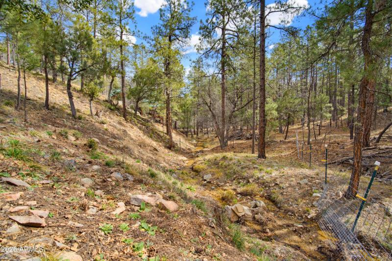 375 S Camille Lane - Photo - Exterior 44