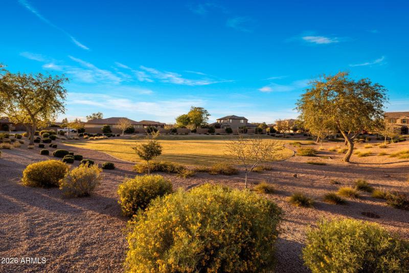 34-web-or-mls-IMG_2388