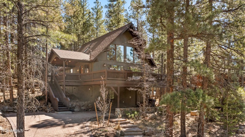 Nestled in the Tree Tops