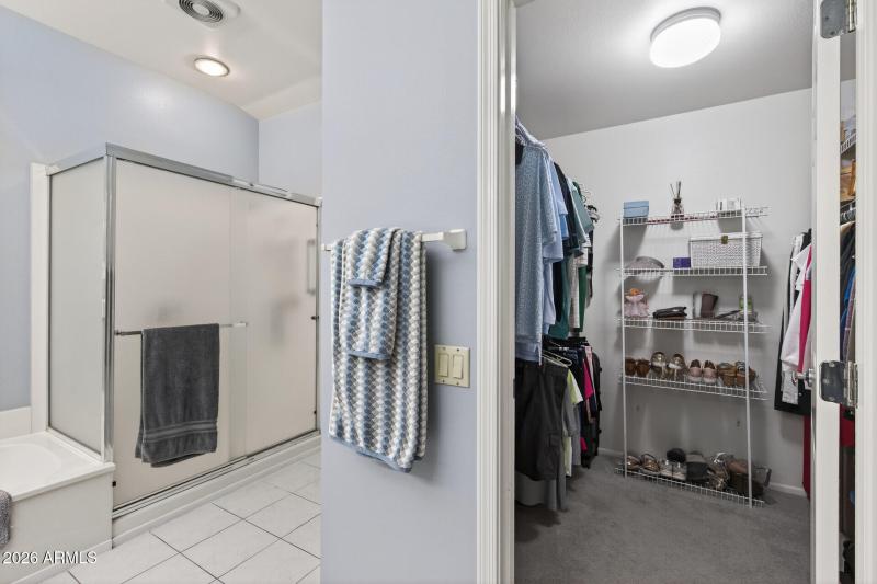 Owner's Bath & Walk-in Closet