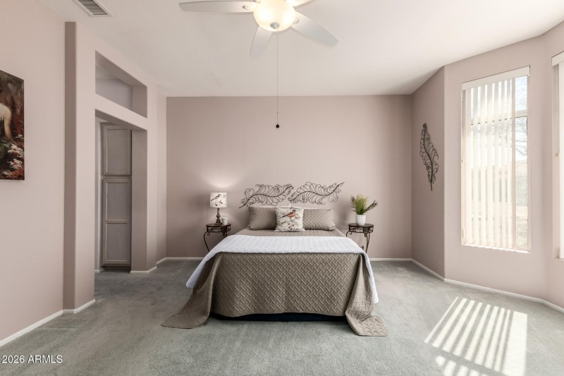 Ceiling Fan with Light