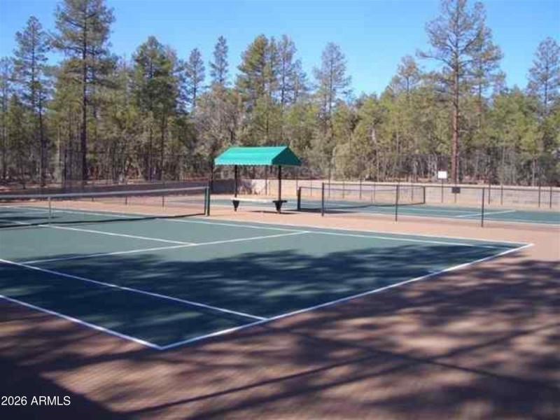 Tennis court