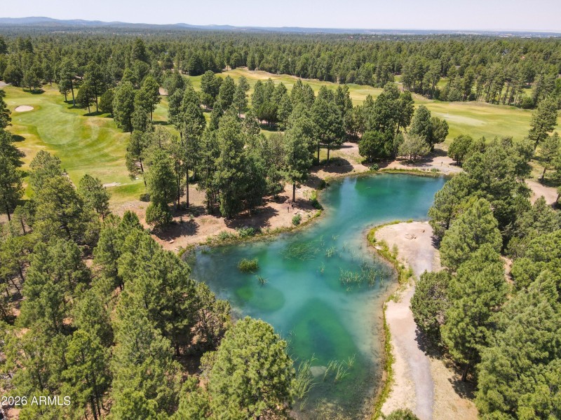 Catch Release Aerial View