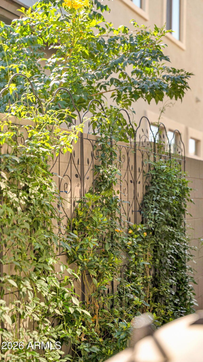 17-web-or-mls-P1486231