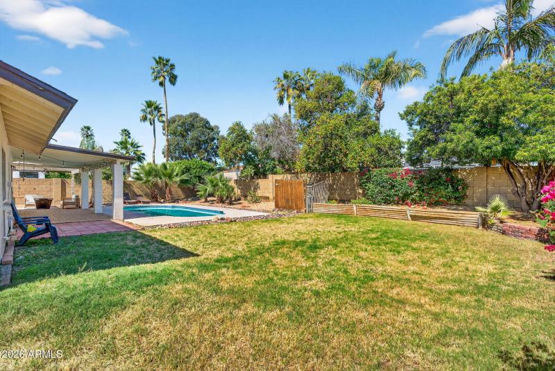 Resort style backyard