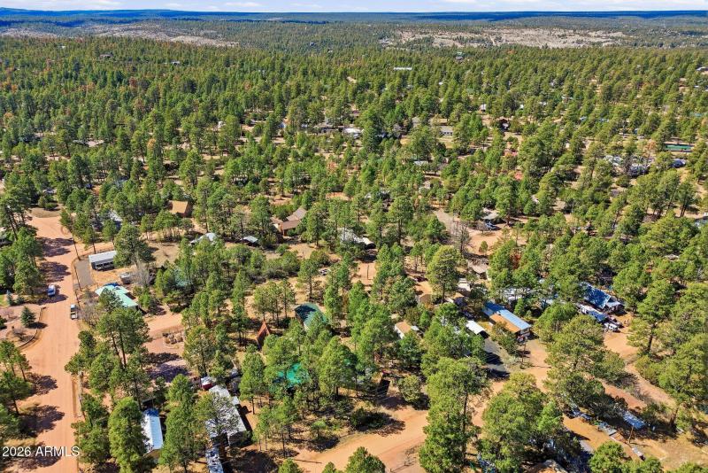 2877LazyBearTrail-HeberOvergaard-AZ-29