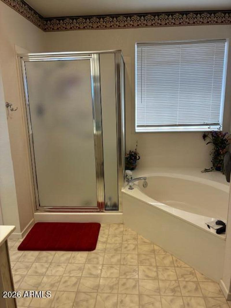 Master Shower & Tub