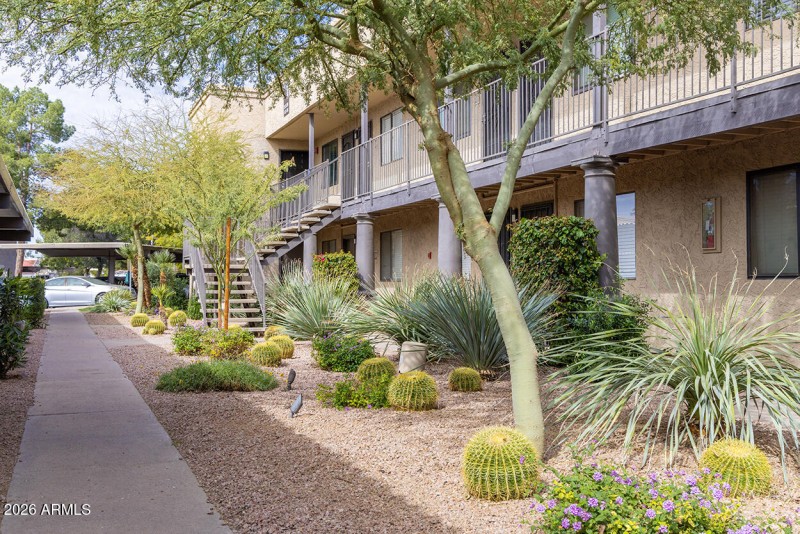 Carol adams fro nt stairs 0515