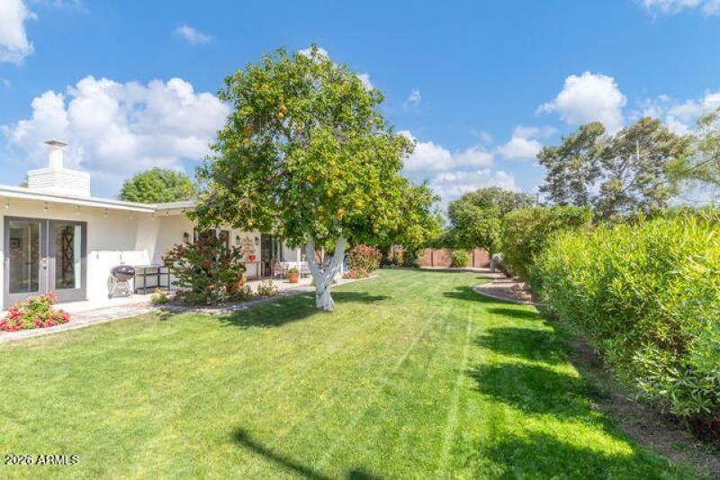 1109 Frier Pic- Backyard 2