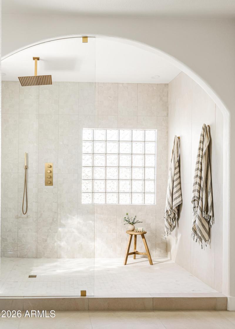 Primary shower shower