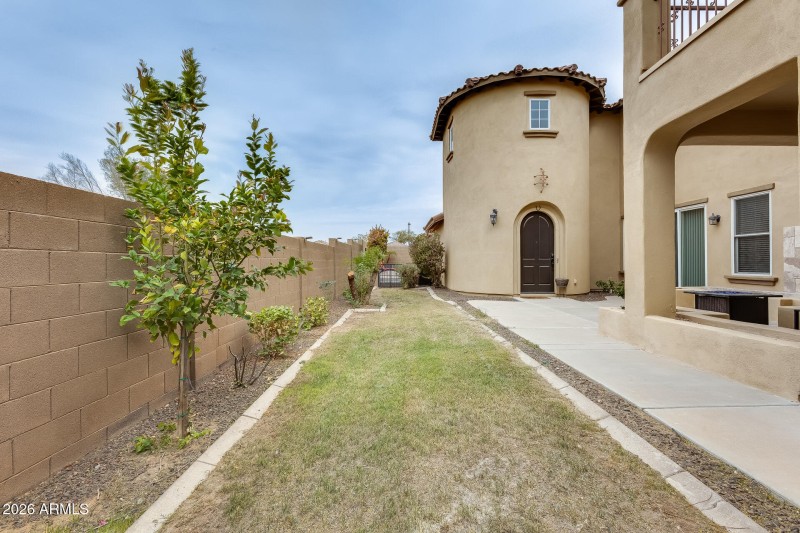 Grass for kids and pets/ gated from pool