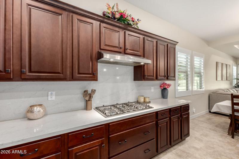 19 Appaloosa 03-12-2026