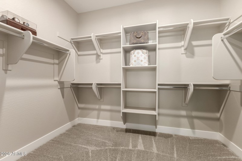 29 Appaloosa 03-12-2026