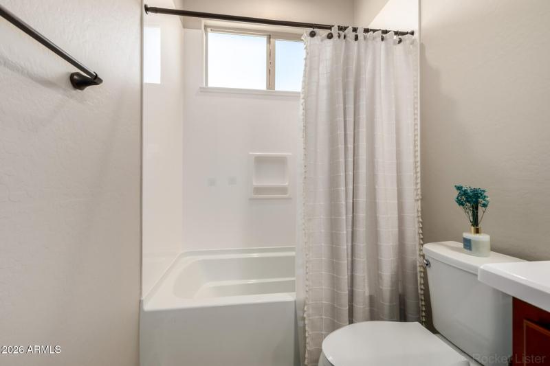 37 Appaloosa 03-12-2026