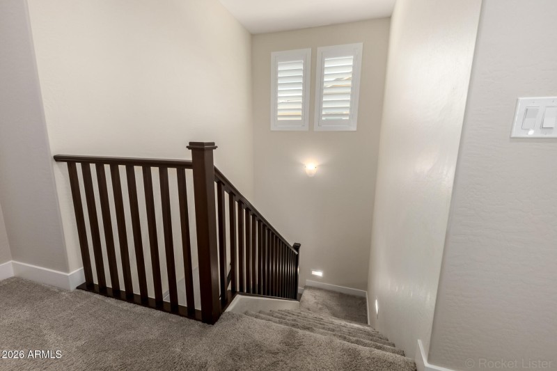 41 Appaloosa 03-12-2026