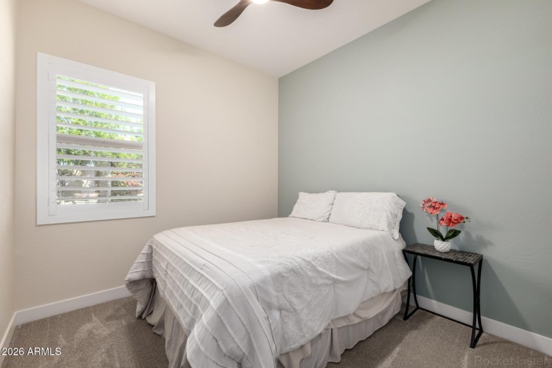 42 Appaloosa 03-12-2026