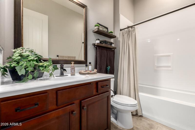 44 Appaloosa 03-12-2026