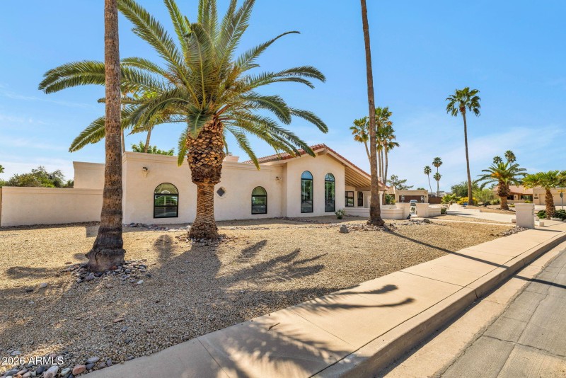 Palms Frame the Front