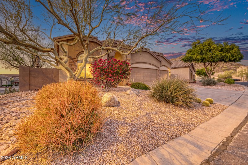 Vibrant Desert Landscaping
