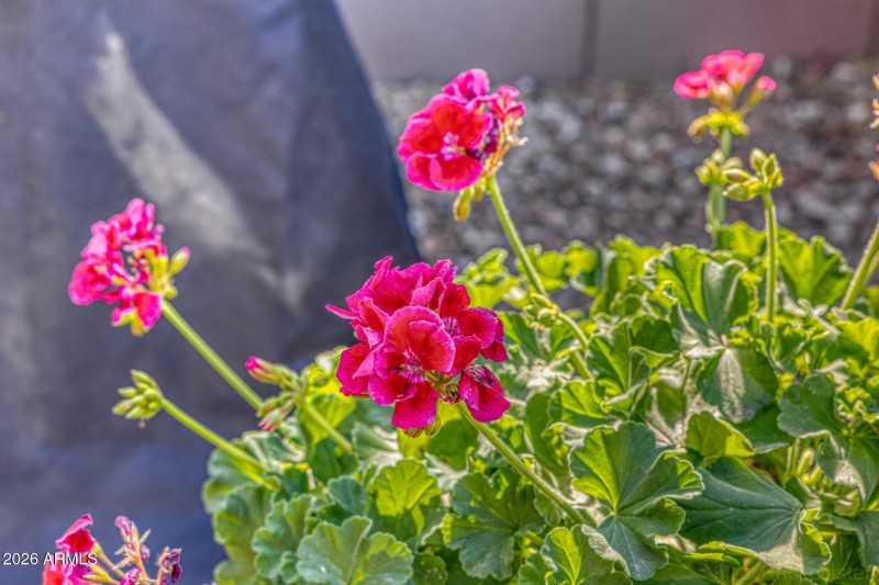 Beautiful Landscaping!