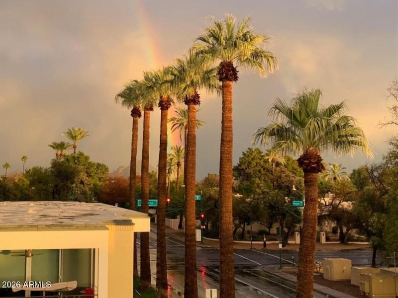 Palm Trees Framed by Sunset