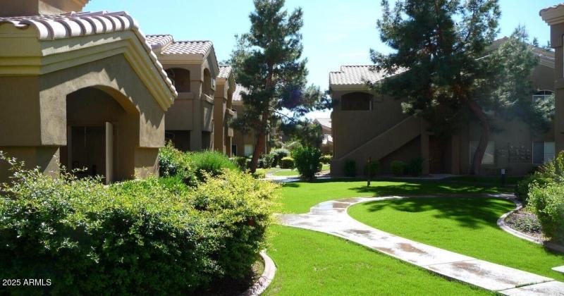 paved walkways around cmty