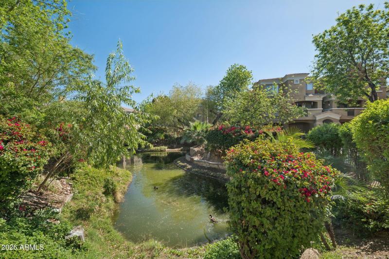 Beautiful Water Feature to Enjoy