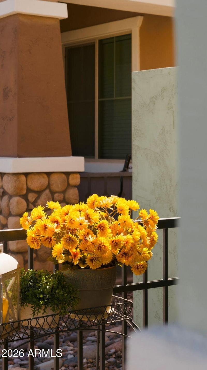 48-web-or-mls-P1507469