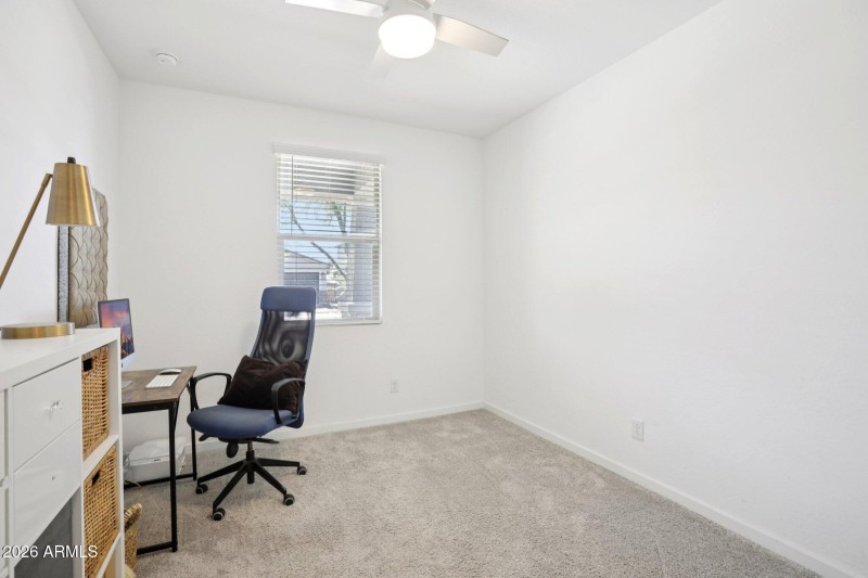 19-web-or-mls-W Fetlock Trl-S1303-019