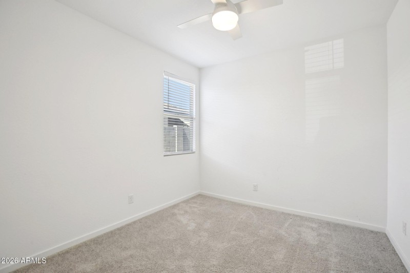 20-web-or-mls-W Fetlock Trl-S1303-020