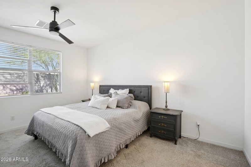 25-web-or-mls-W Fetlock Trl-S1303-025