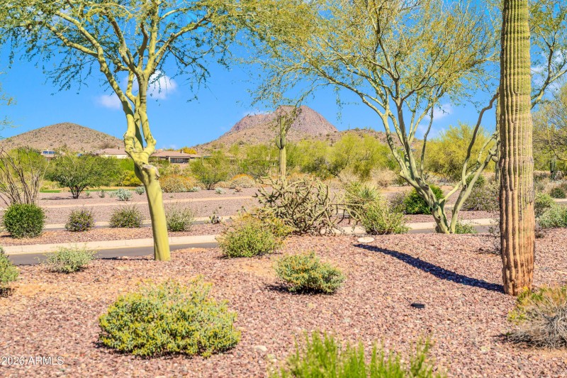 2812 W Reedy Creek Dr-39