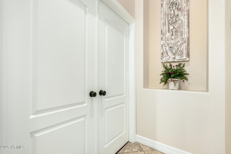 01 - Desert Marigold