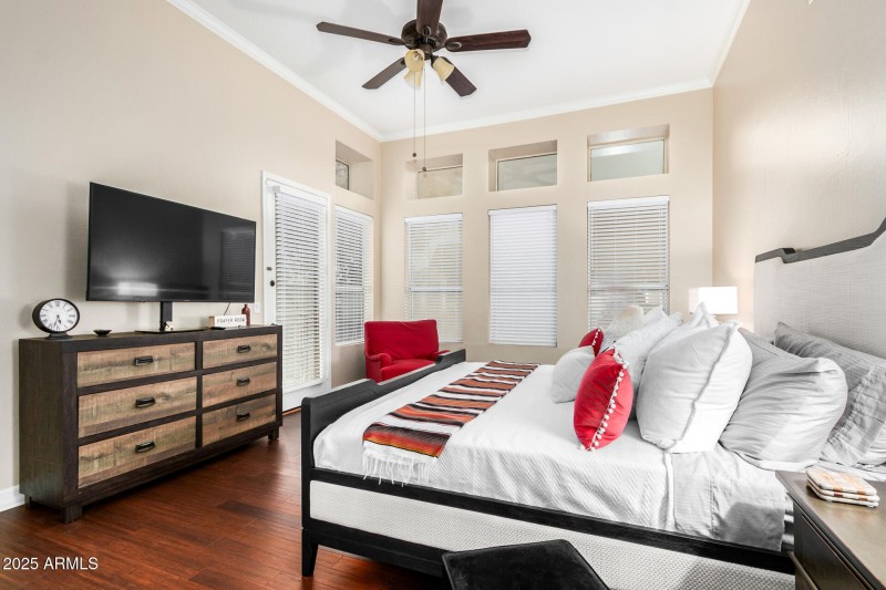 09 - Desert Marigold