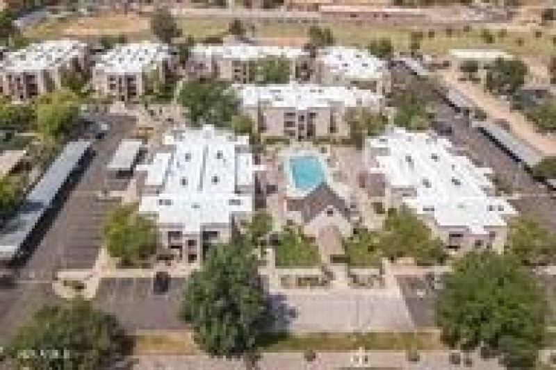 full complex eagle eye