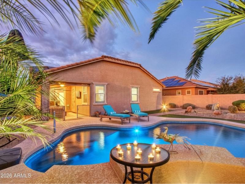 View through the palms