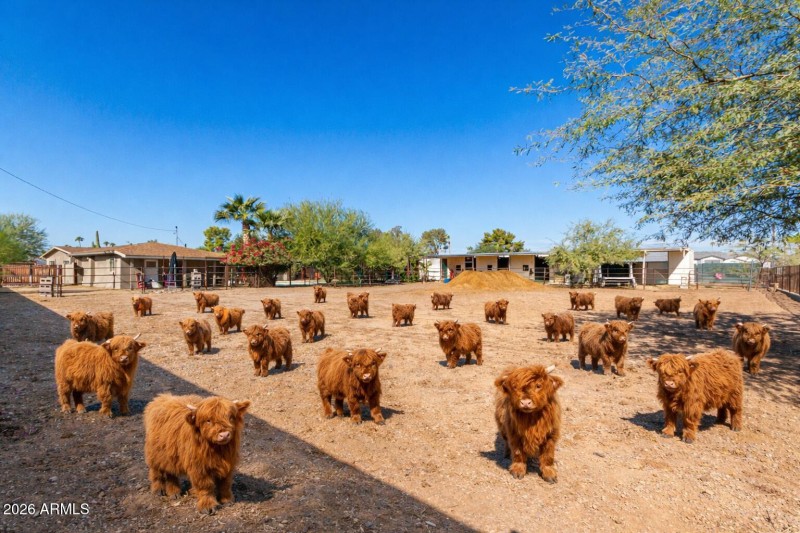 The huge lot has a horse or animal arena