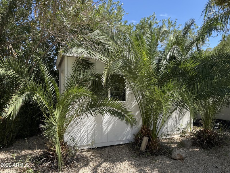 Extra storage in backyard