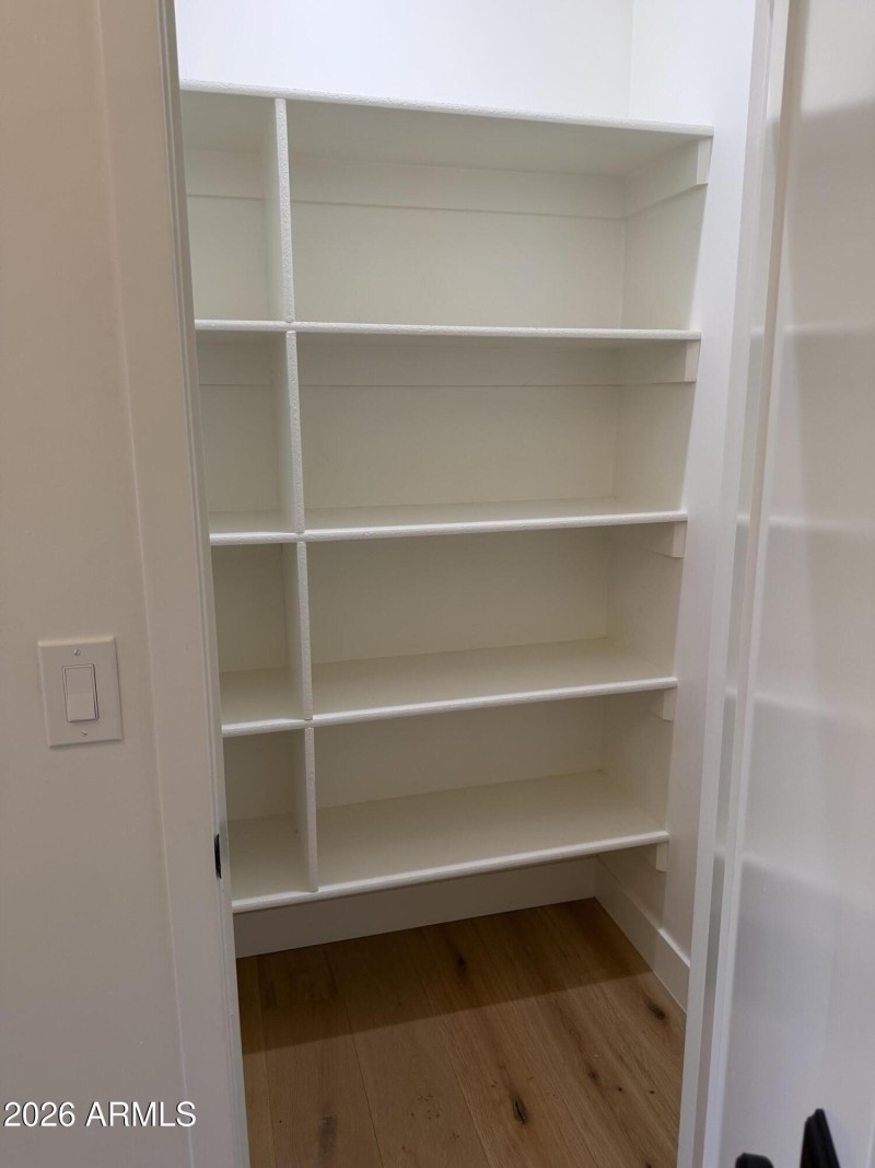 Hall closet built-ins