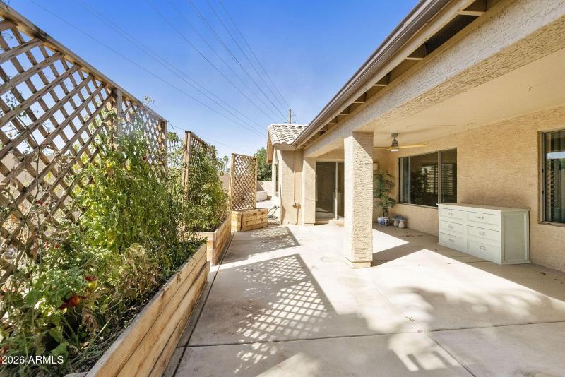 Planter boxes along back patio