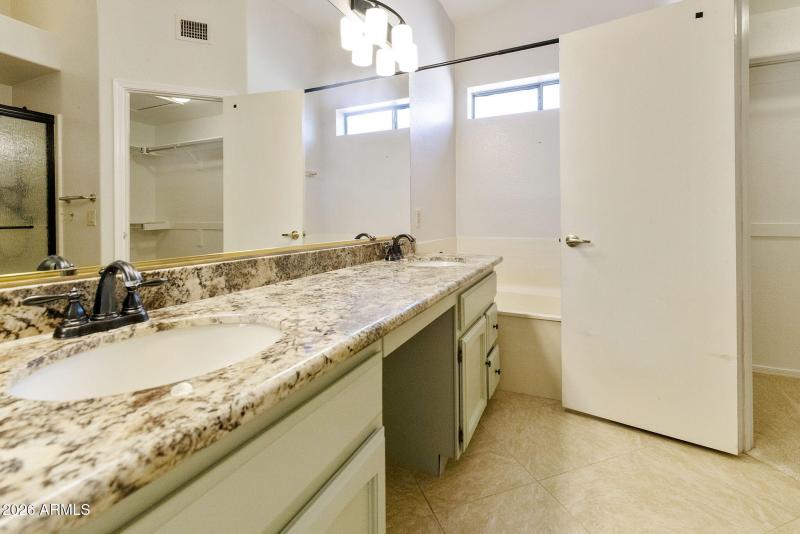 Primary Suite bathroom vanity